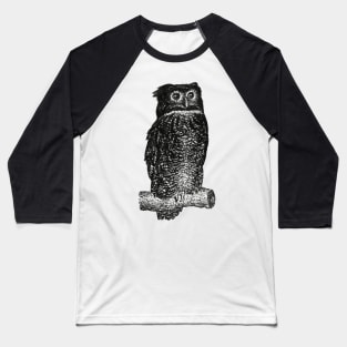 Vintage Owl  Sketch Baseball T-Shirt